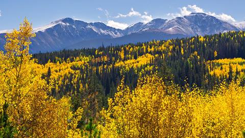 190928_FallFoiliage_Cfrey-8.dng