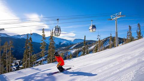 22_03_15_WP_BluebirdKat_DMinard-07869.dng