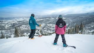 2018-11-25_WP_Guides_Cfrey-4.dng