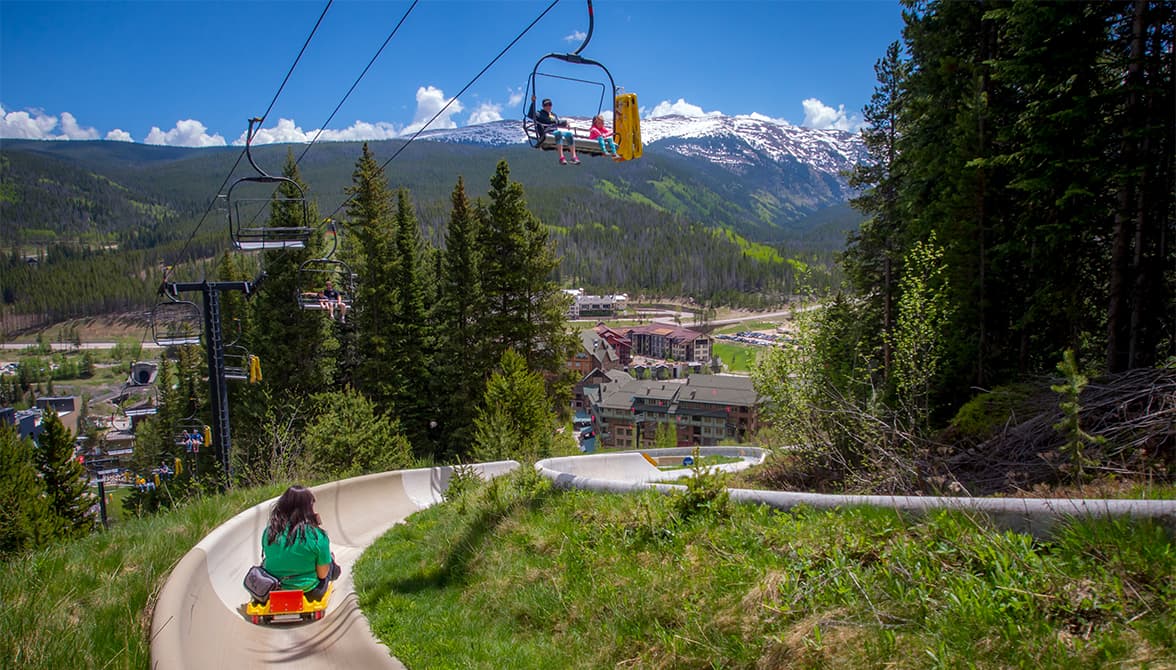 Alpine Slide Summer Activities