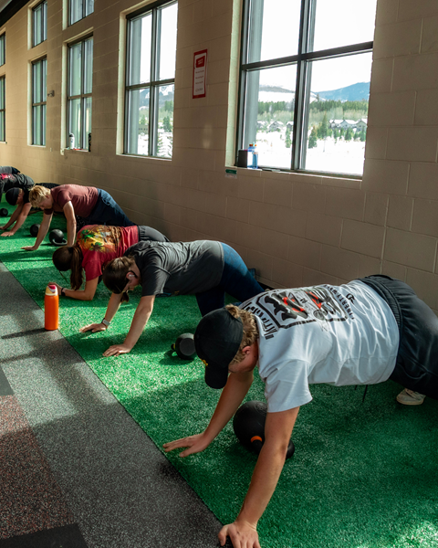 SP Pushups