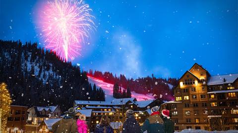 Buildings and trees at night with a firework in the background with spectators in the foreground.