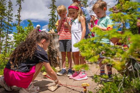 Alpine Fairy Trail Kids Nature Walk in Colorado
