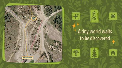 Child nature hike with fairy inspired decorations at Winter Park Resort Colorado