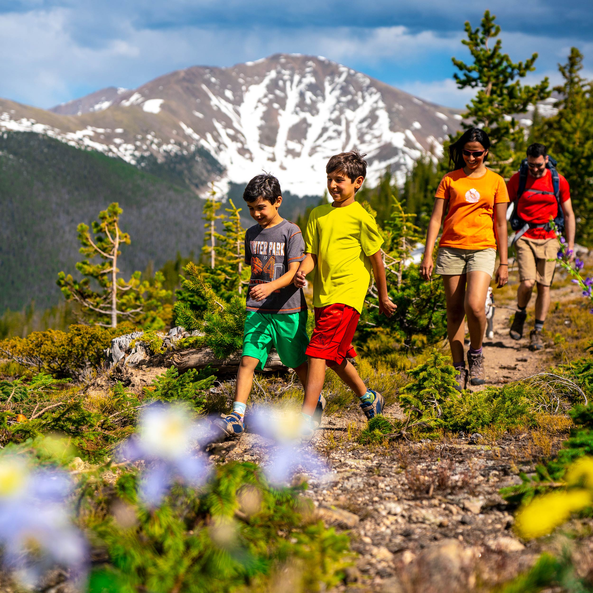 Guided Hikes and Tours