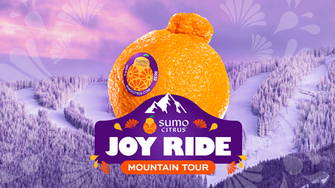 Sumo Citrus Winter Park Resort