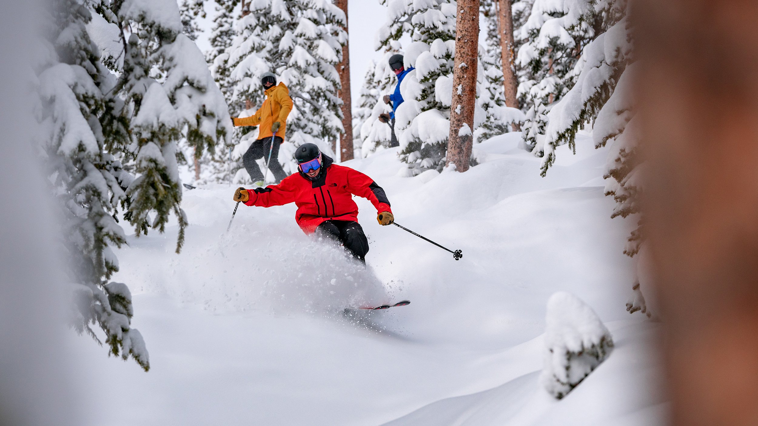 Skier rides fresh powder at winter park resort