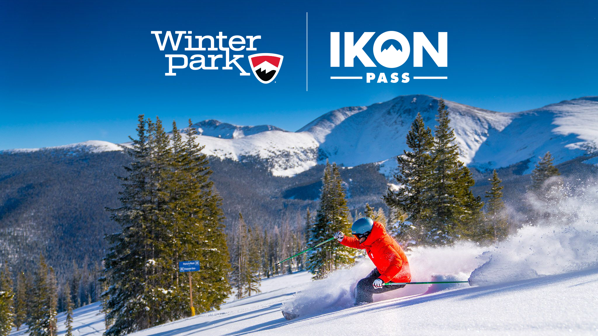 Skier rides fresh powder at winter park resort